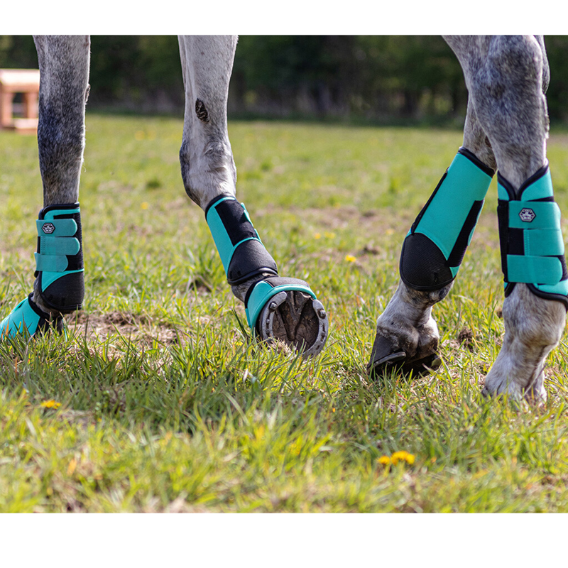 QHP Eventing boots hind leg technical - Mint Green-2